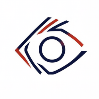 Vision